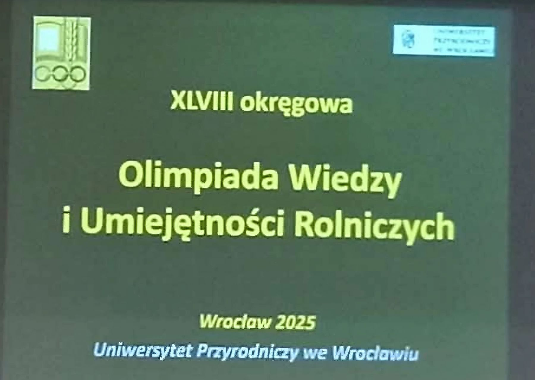 Obraz: